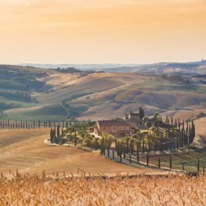 tour-featured-img-38 d